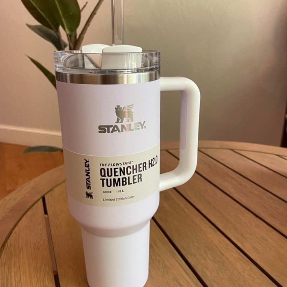 Stanley target exclusive 40 oz‎ Tumbler in WISTERIA COLORBLOCK NWT